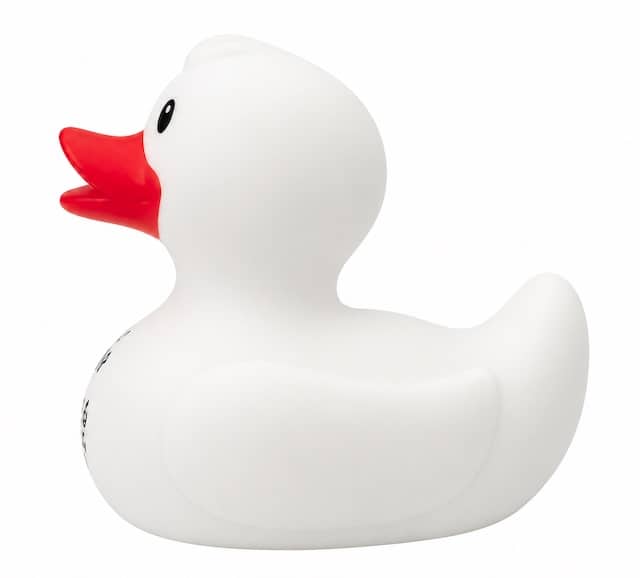 Paris duck store duck – Image 4